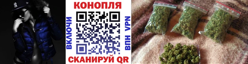 Бошки Шишки планчик  Полярный 